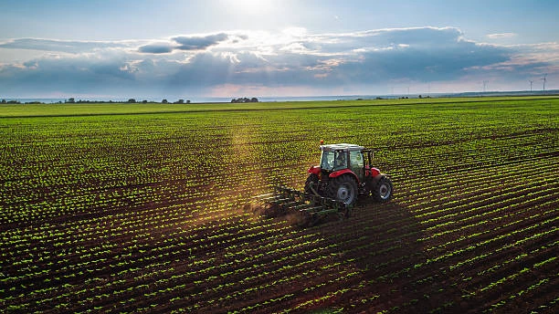 Agriculture & Food