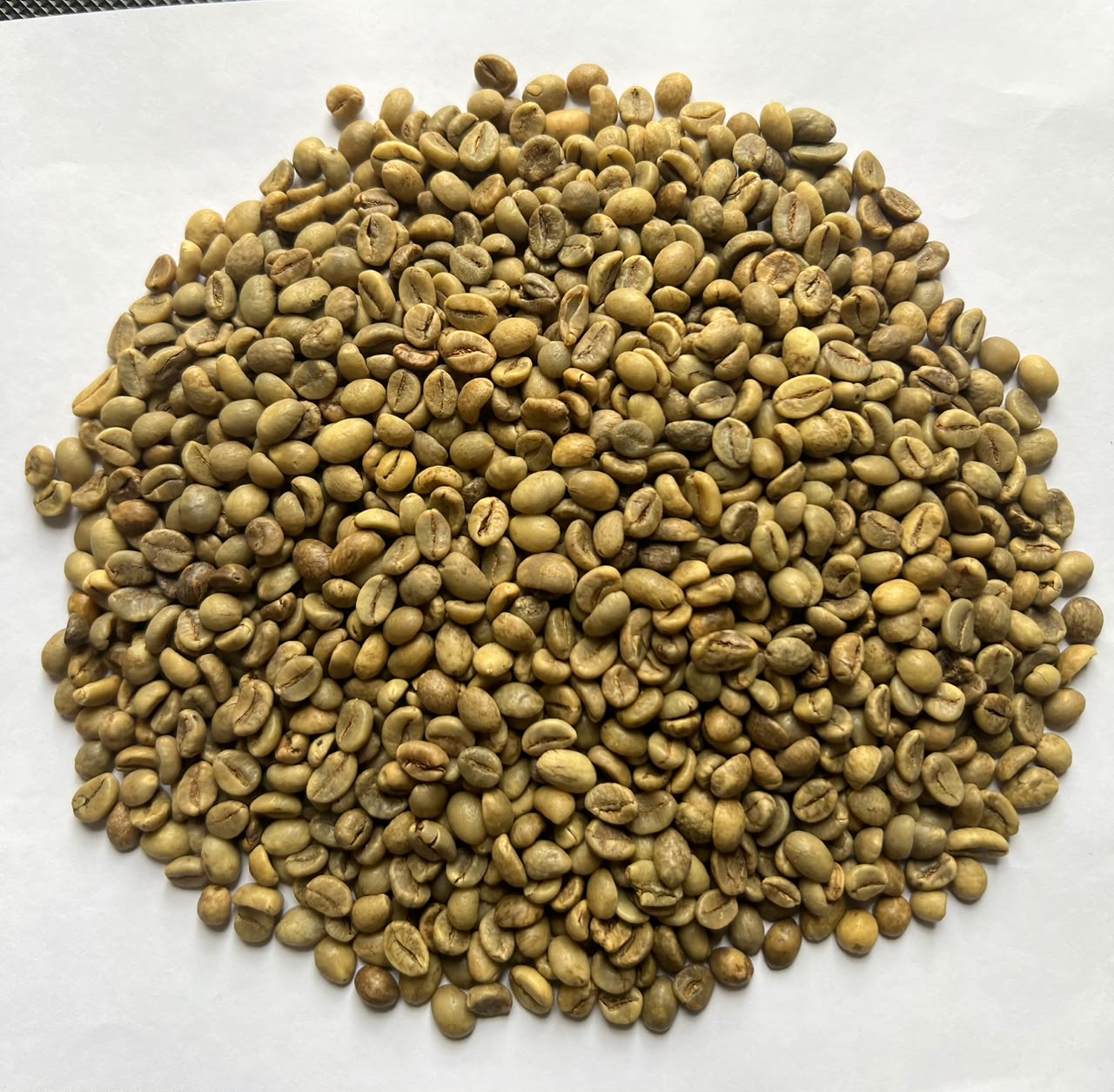 Main product view