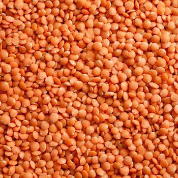 Red Split Lentils