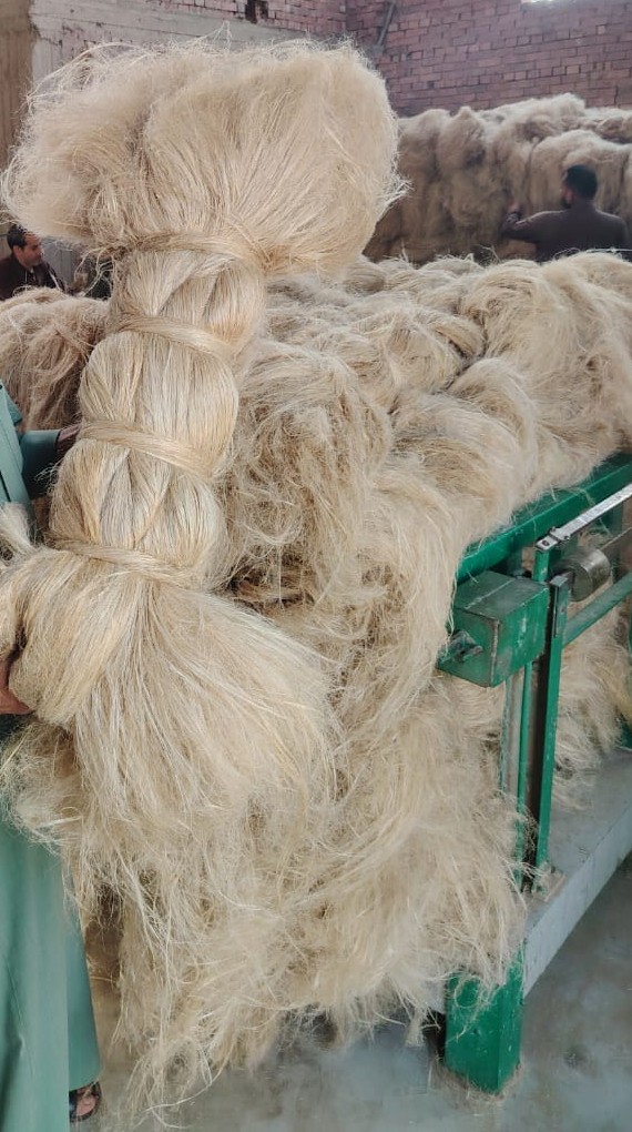 Scutched long flax fiber Grad A to produce linen fabric