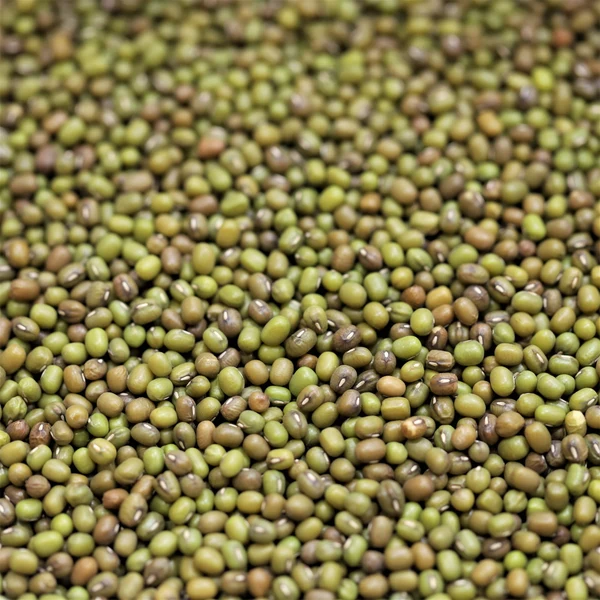 Green Moong Beans, Clean sortexed