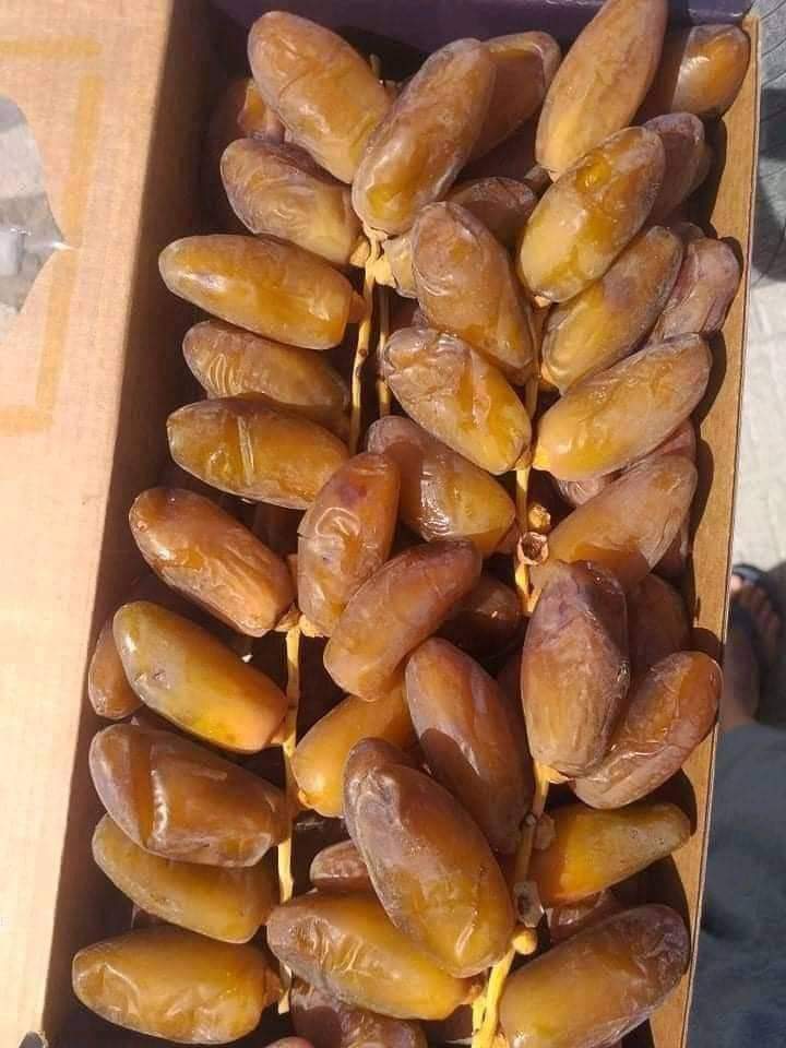 Premium Quality Rafi Processed Dates Rich in Taste and Nutrition from Algeria to world