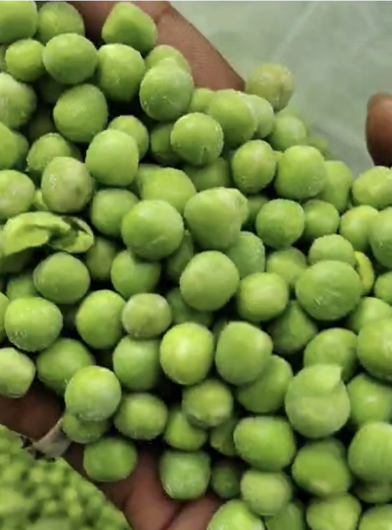 Green Peas with and Without Shell