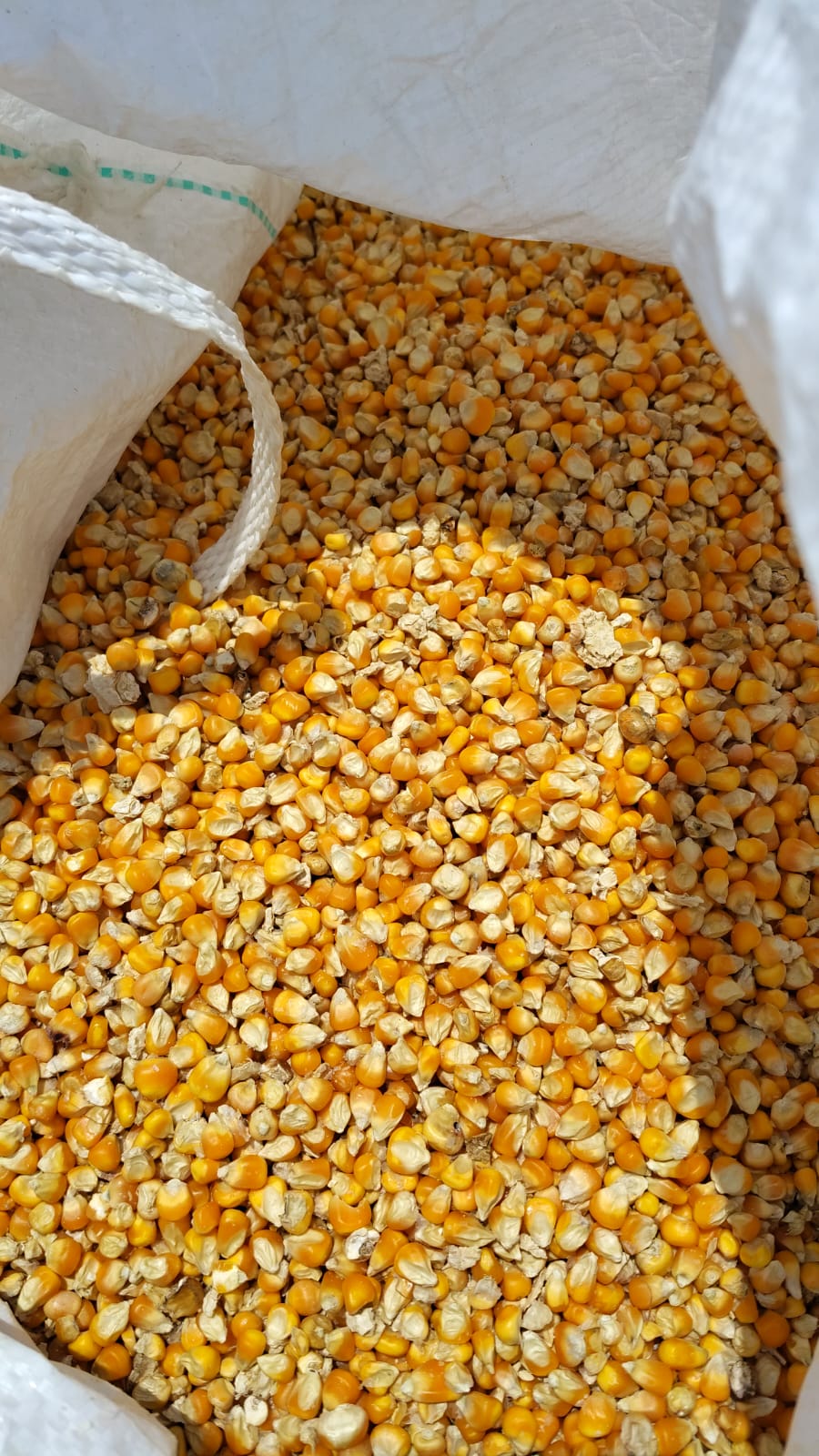 Main product view