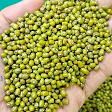 Green Moong Beans, Clean sortexed