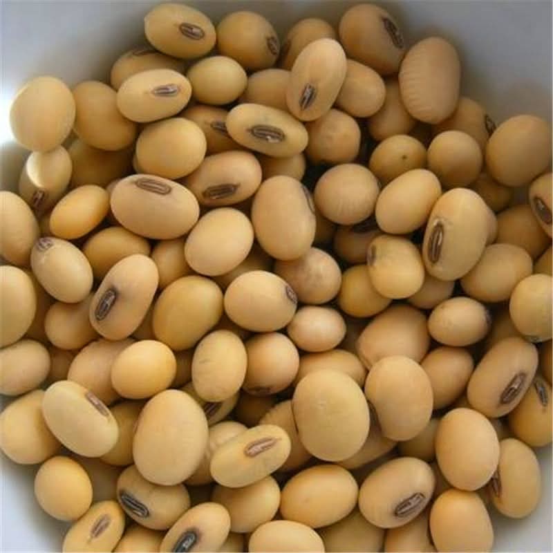 Main product view