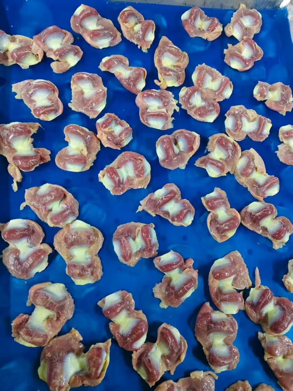 Main product view