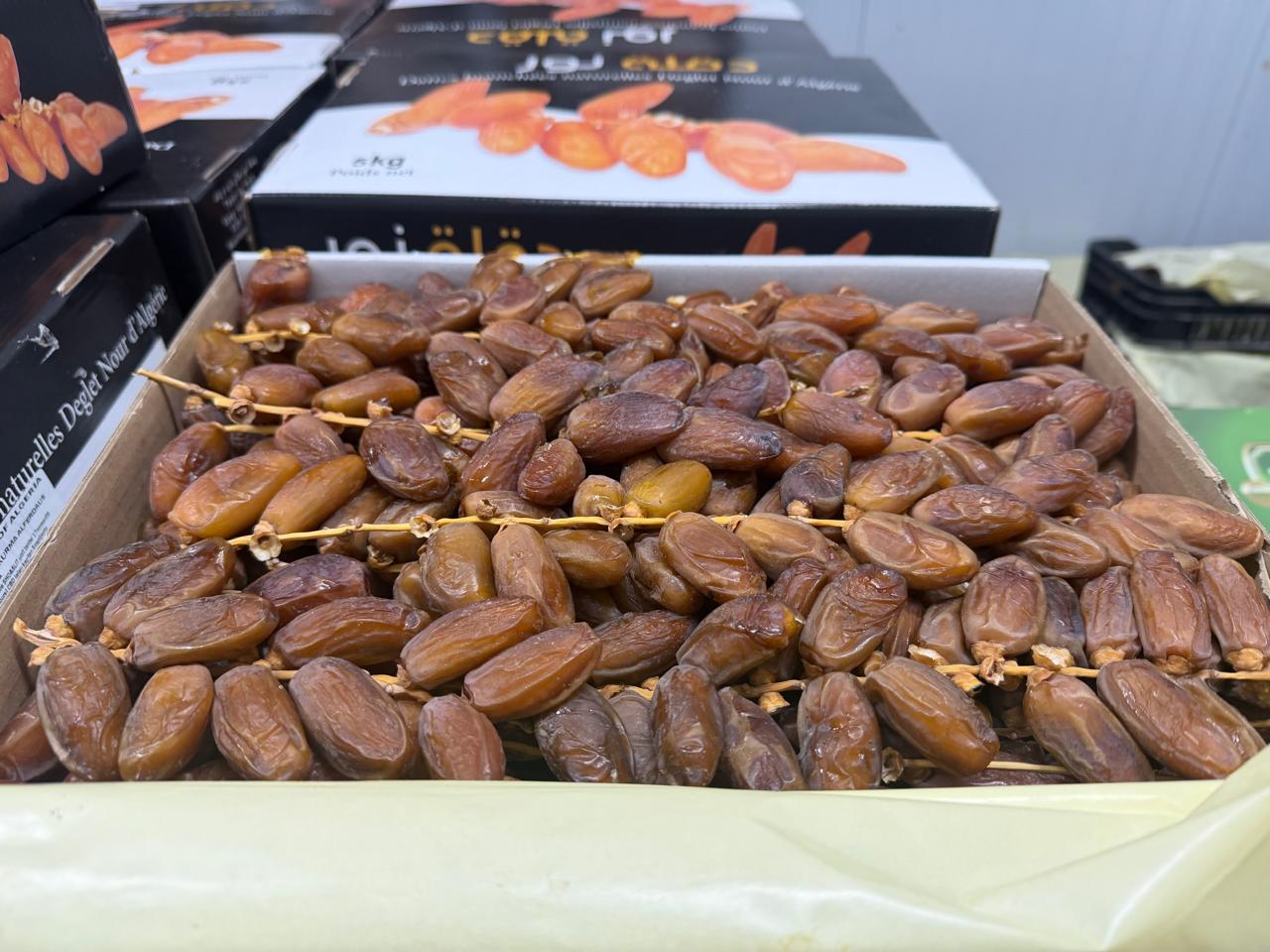 Premium Quality Rafi Processed Dates Rich in Taste and Nutrition from Algeria to world