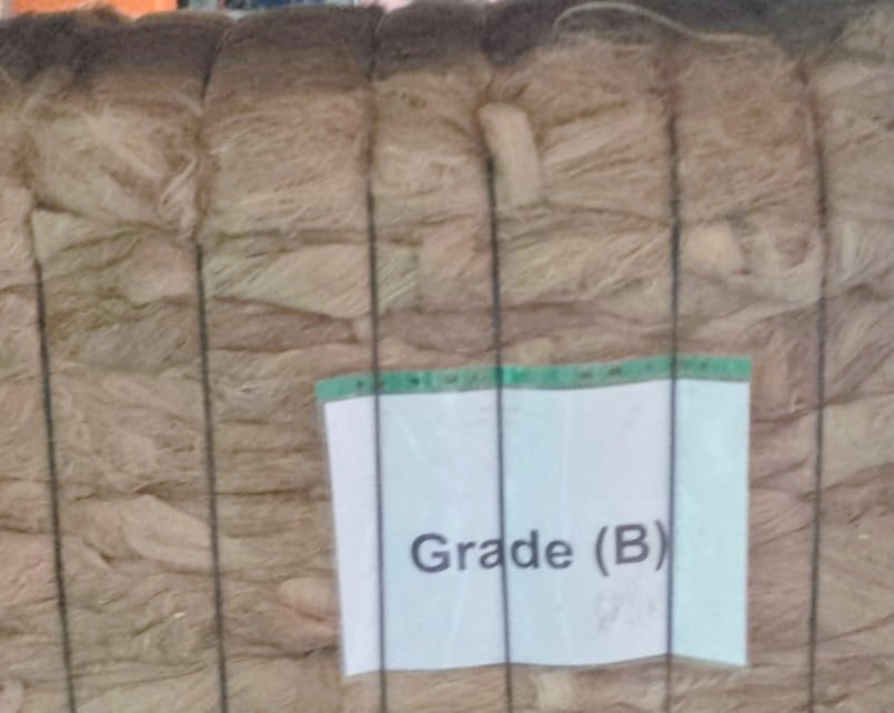 Scutched long flax fiber Grad B to produce linen fabric