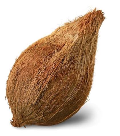 Dry Husk Coconut